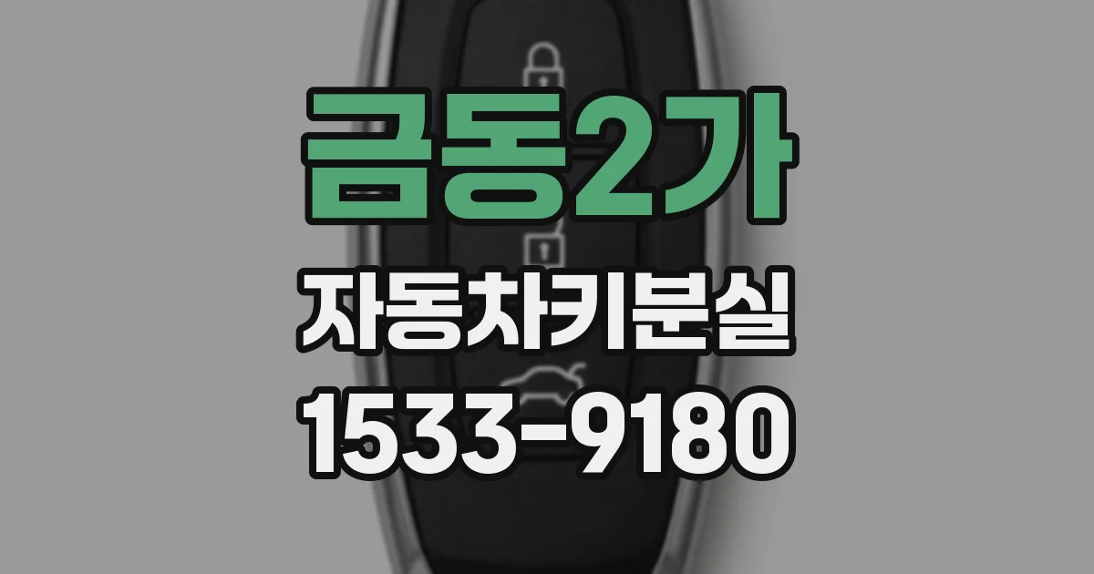 금동2가 자동차키분실