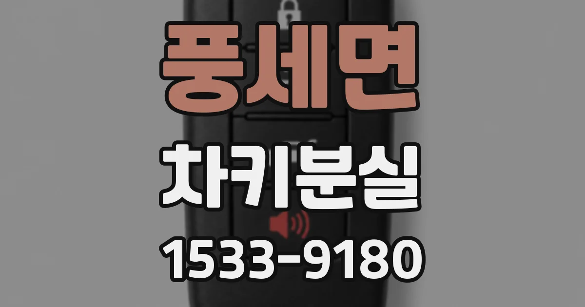 풍세면 차키분실