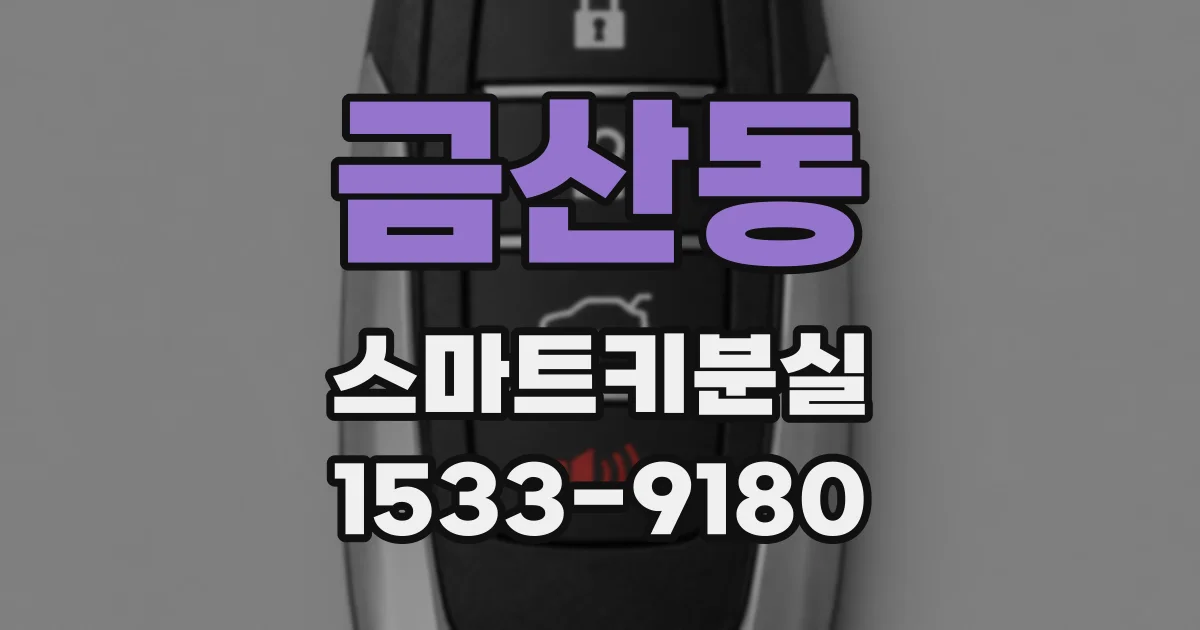 금산동 스마트키분실