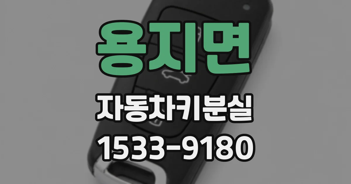 용지면 자동차키분실