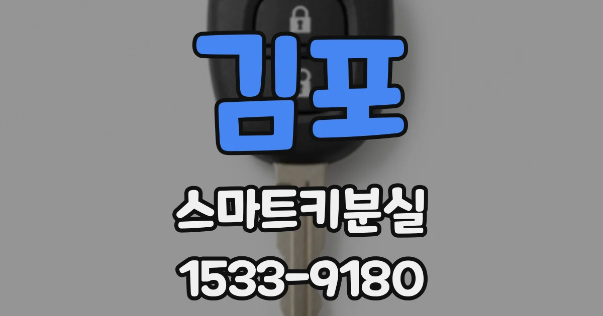김포 스마트키분실