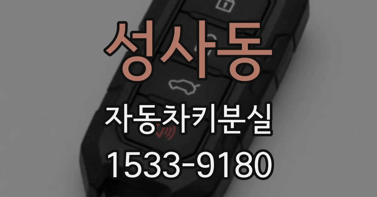 성사동 자동차키분실