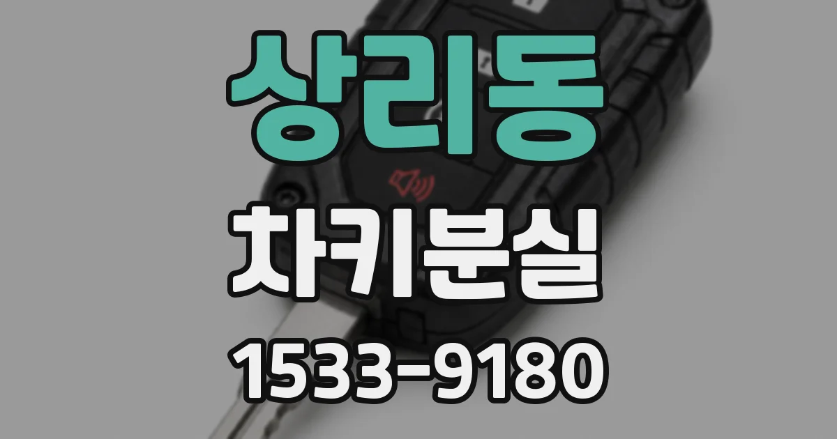 상리동 차키분실