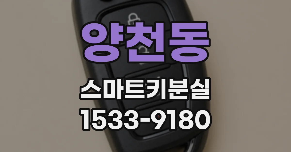 양천동 스마트키분실