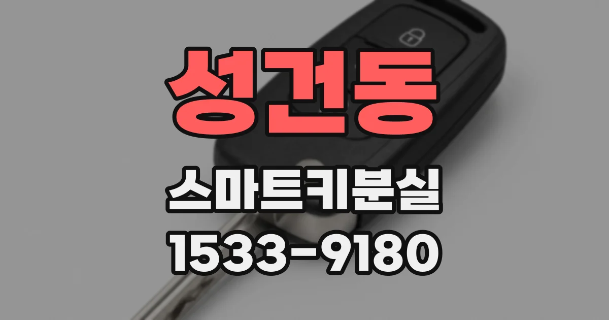성건동 스마트키분실