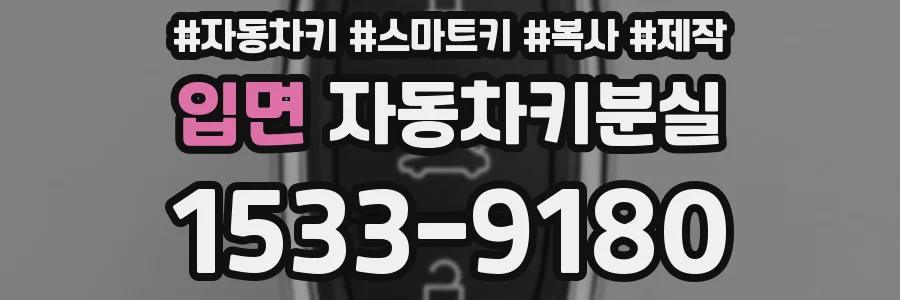 입면 자동차키분실