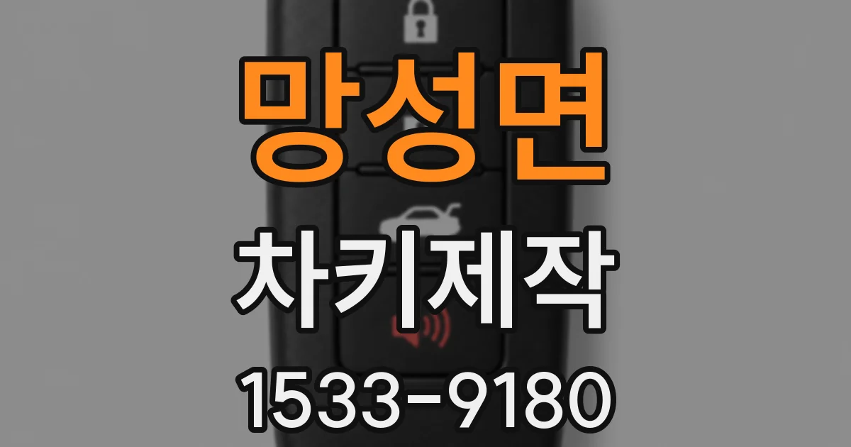 망성면 차키제작