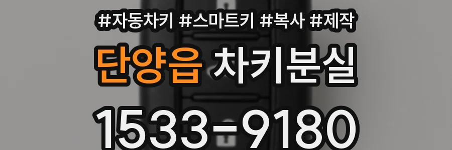 단양읍 차키분실