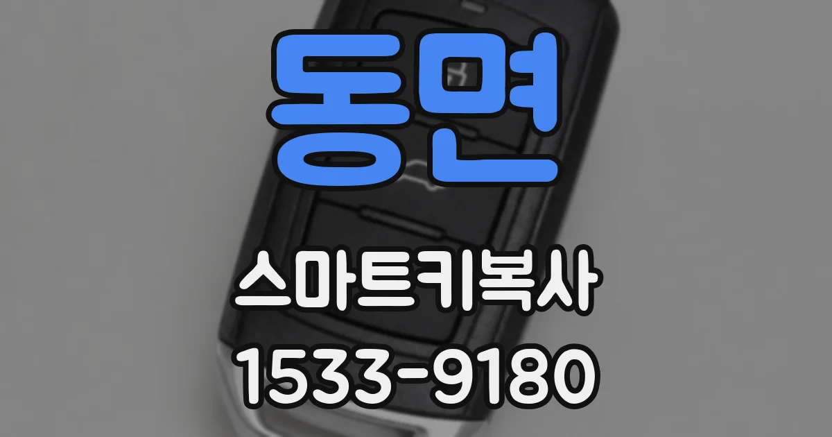 동면 스마트키복사