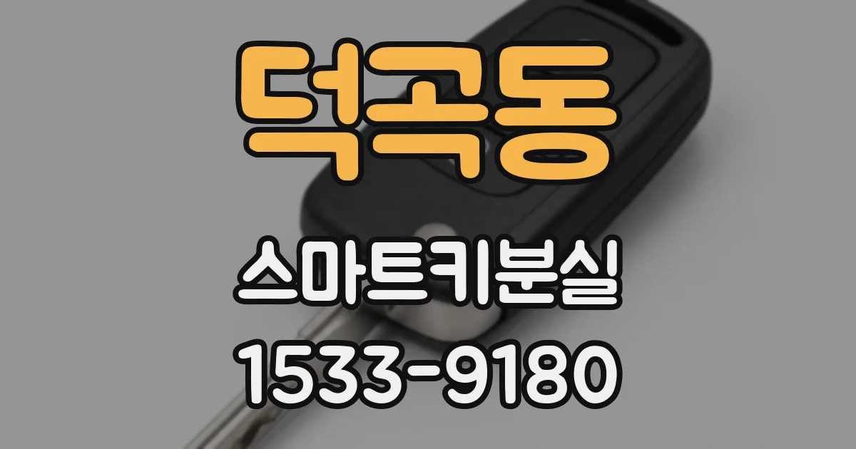 덕곡동 스마트키분실