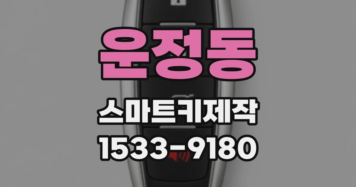 운정동 스마트키제작