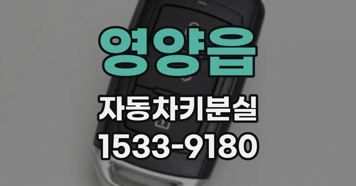 영양읍 자동차키분실