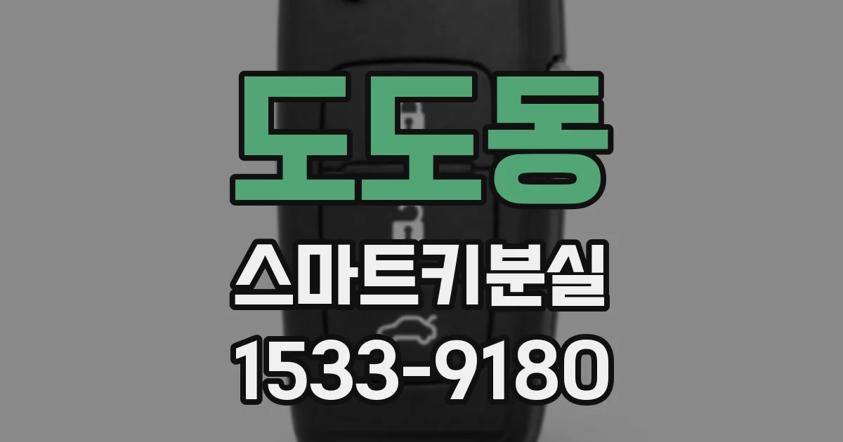 도도동 스마트키분실