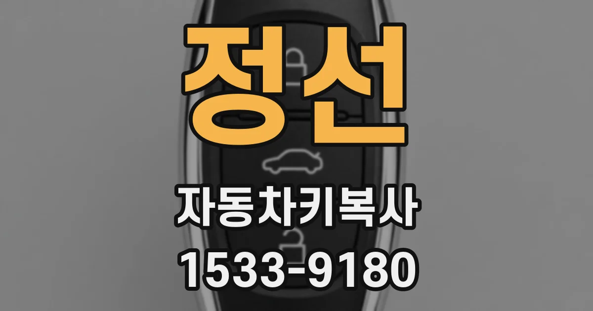 정선 자동차키복사