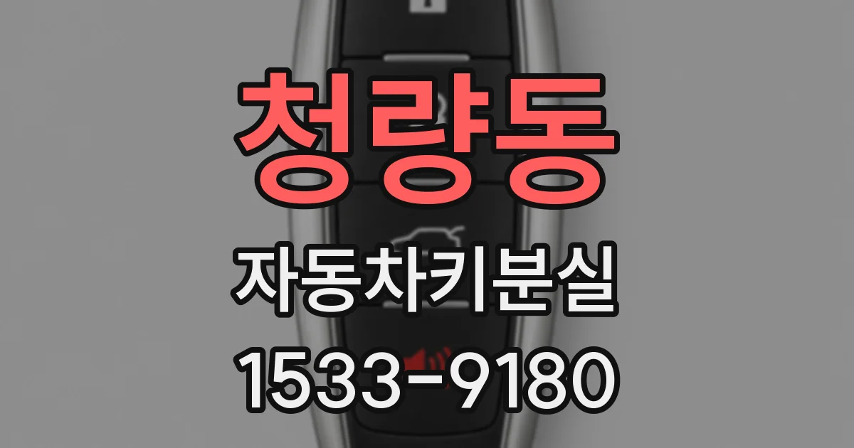 청량동 자동차키분실