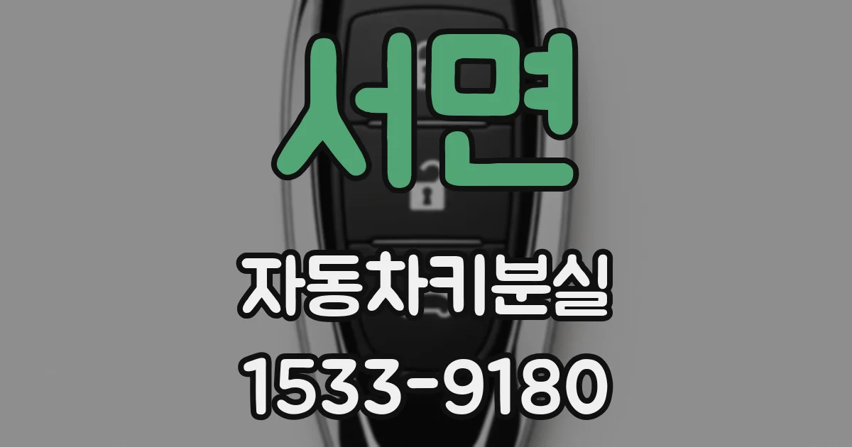 서면 자동차키분실