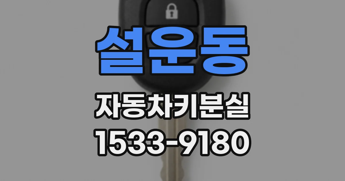 설운동 자동차키분실