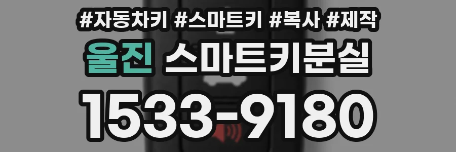 울진 스마트키분실