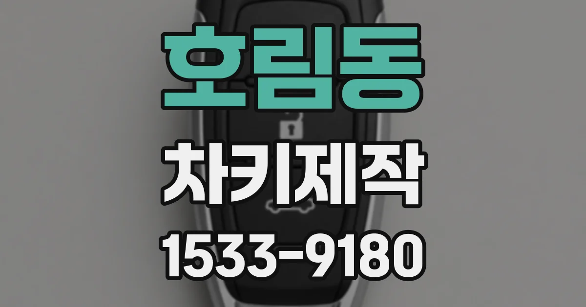 호림동 차키제작