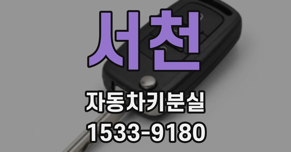 서천 자동차키분실