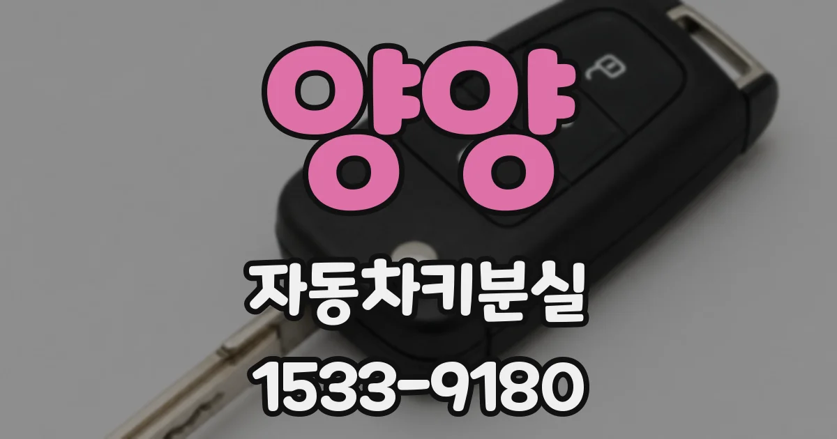 양양 자동차키분실