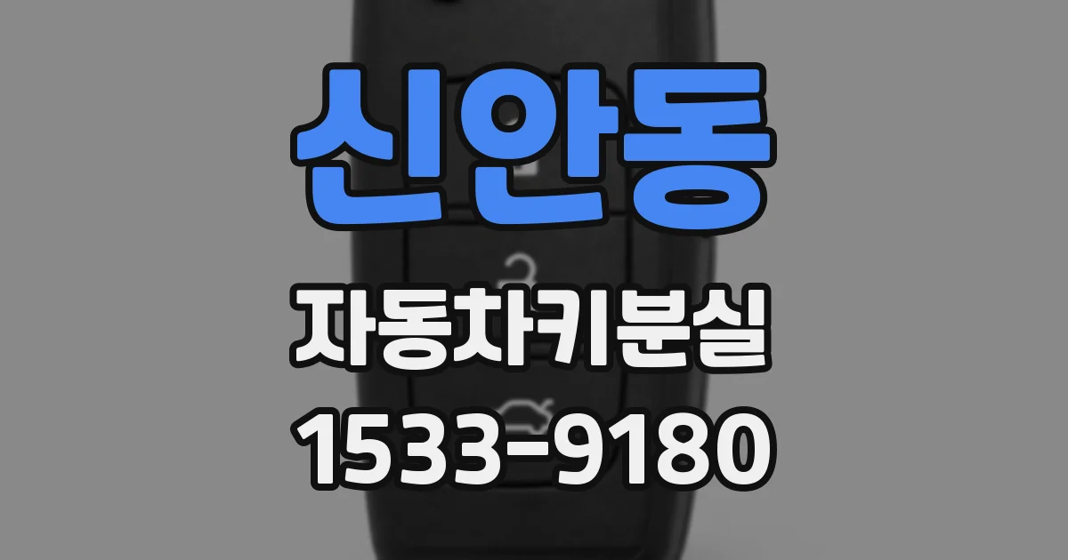 신안동 자동차키분실