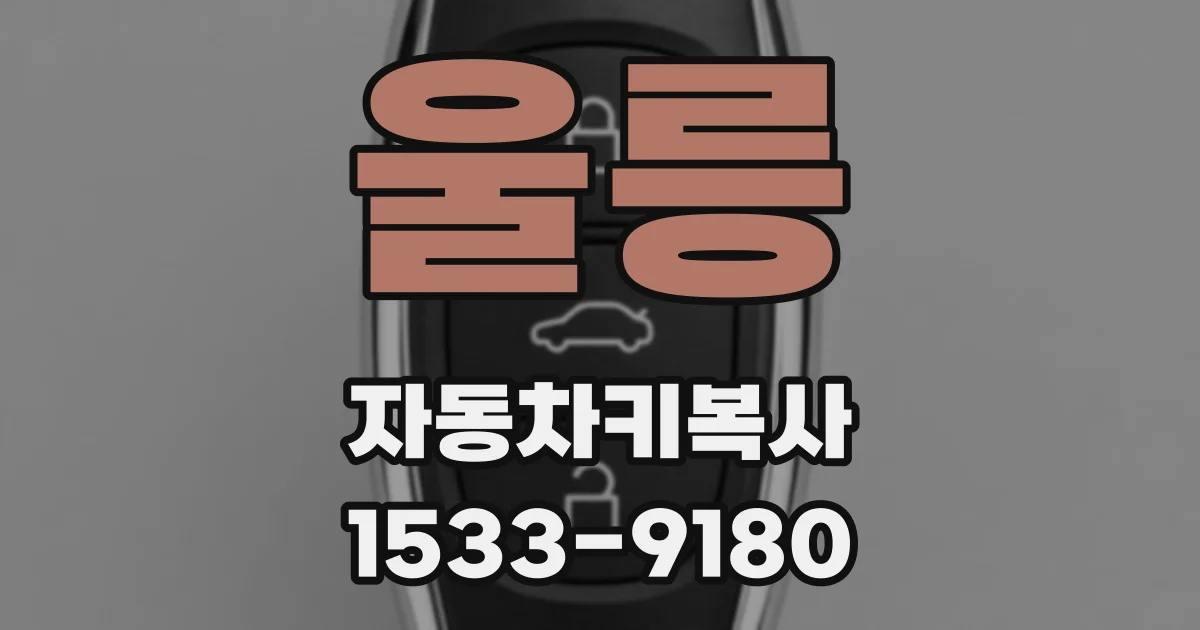 울릉 자동차키복사