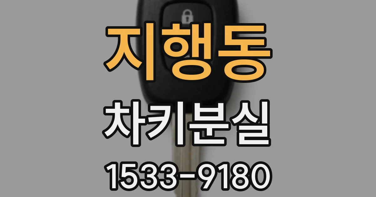 지행동 차키분실