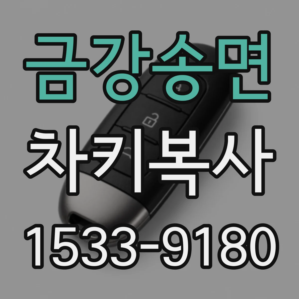 금강송면 차키복사