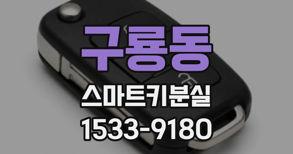 구룡동 스마트키분실
