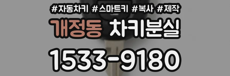 개정동 차키분실