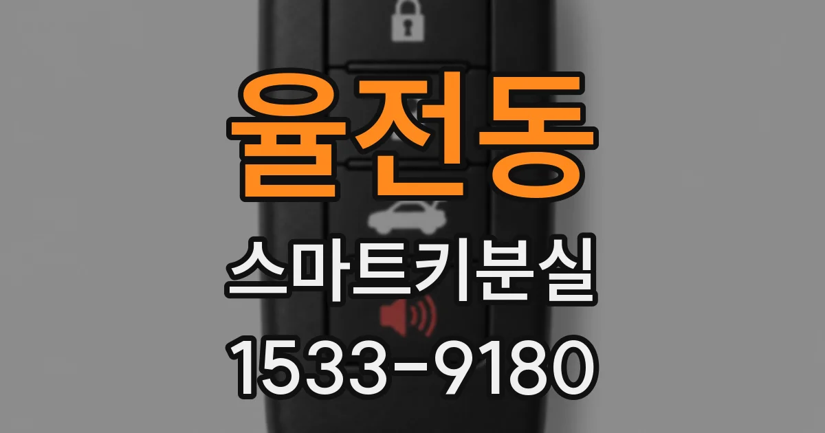율전동 스마트키분실