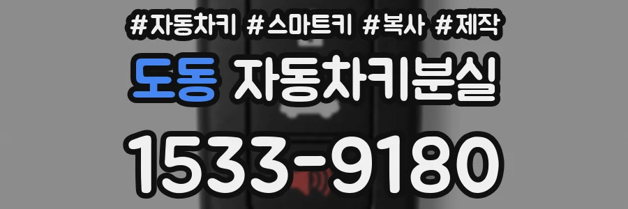 도동 자동차키분실