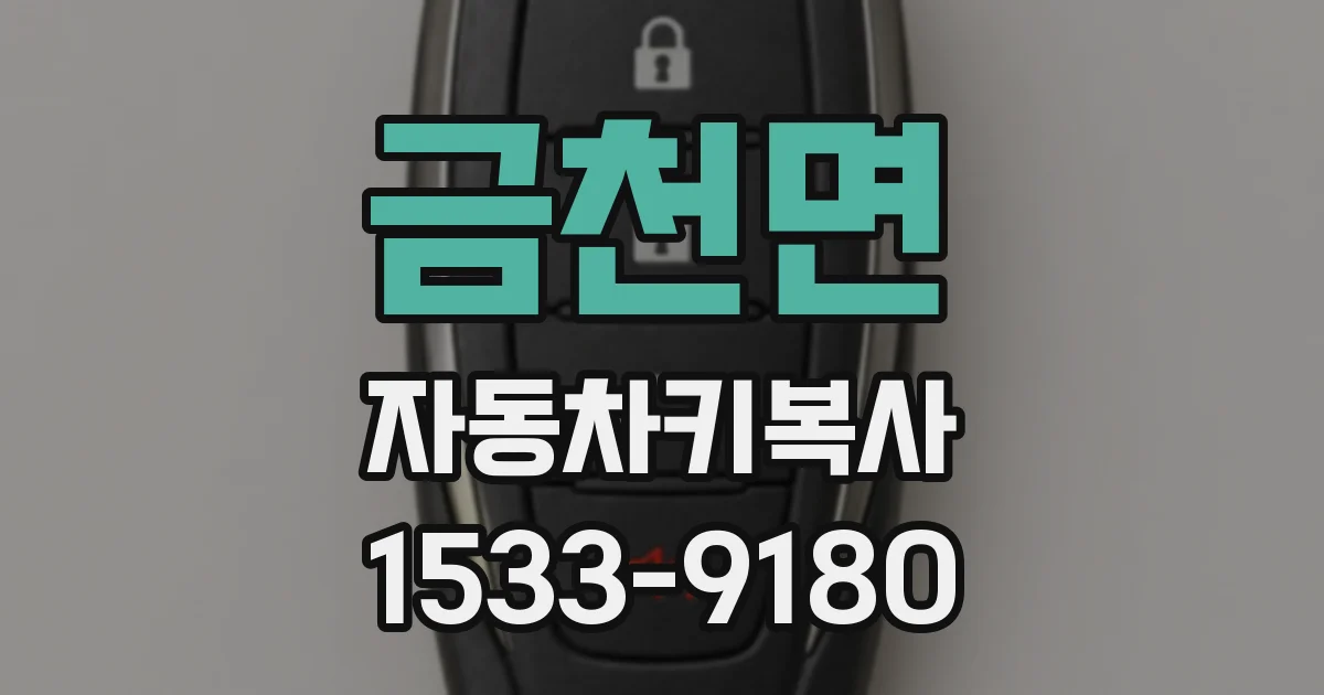 금천면 자동차키복사