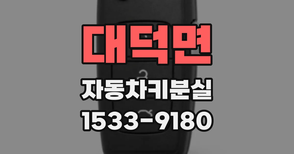 대덕면 자동차키분실