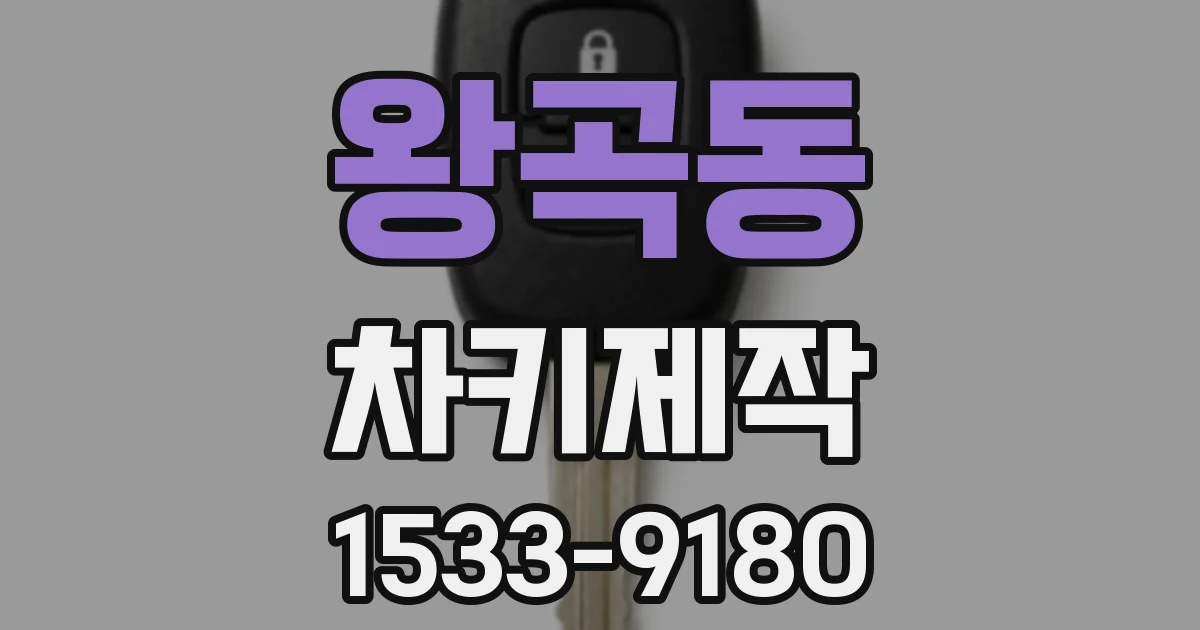 왕곡동 차키제작
