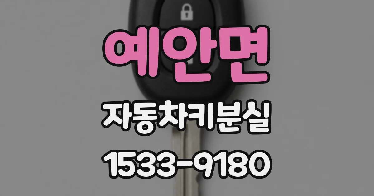 예안면 자동차키분실