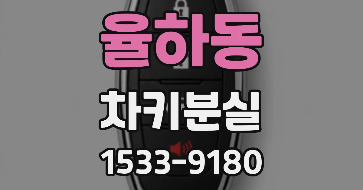 율하동 차키분실