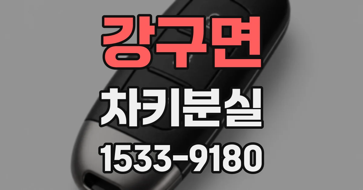 강구면 차키분실