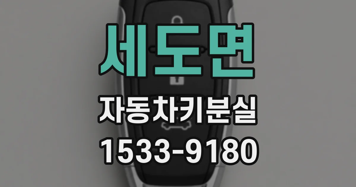 세도면 자동차키분실