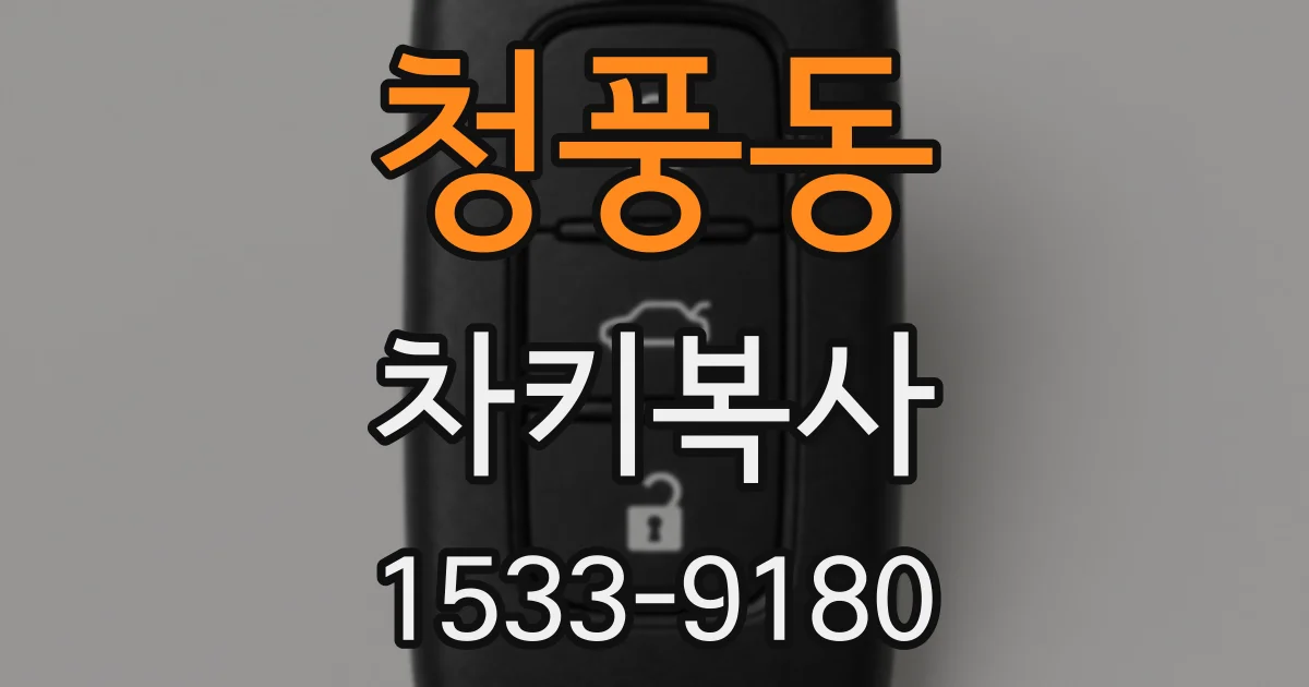청풍동 차키복사