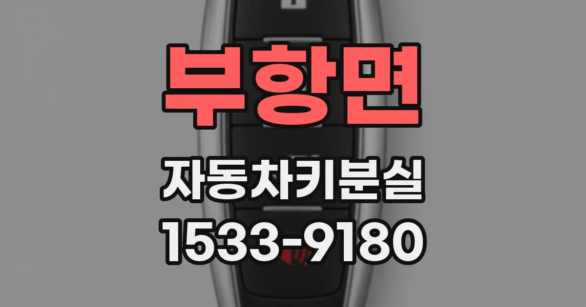 부항면 자동차키분실
