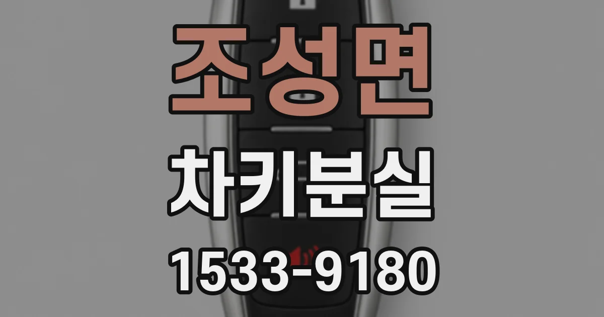 조성면 차키분실
