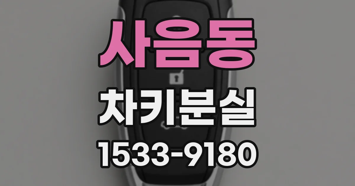 사음동 차키분실