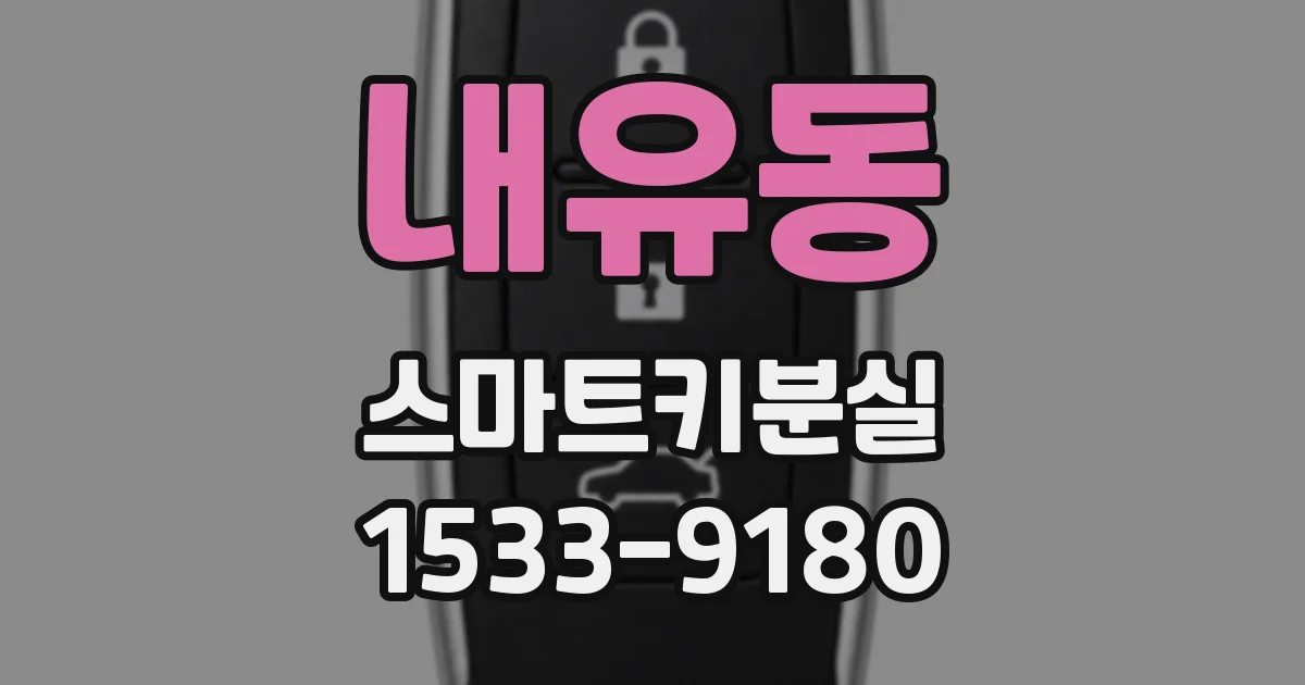 내유동 스마트키분실