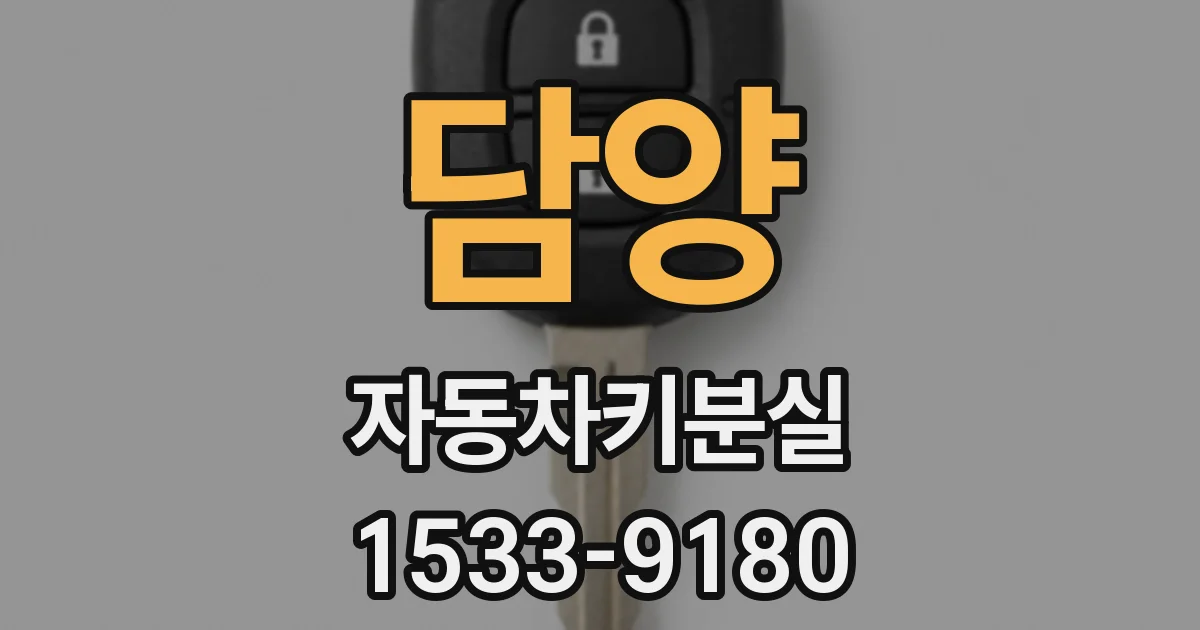 담양 자동차키분실