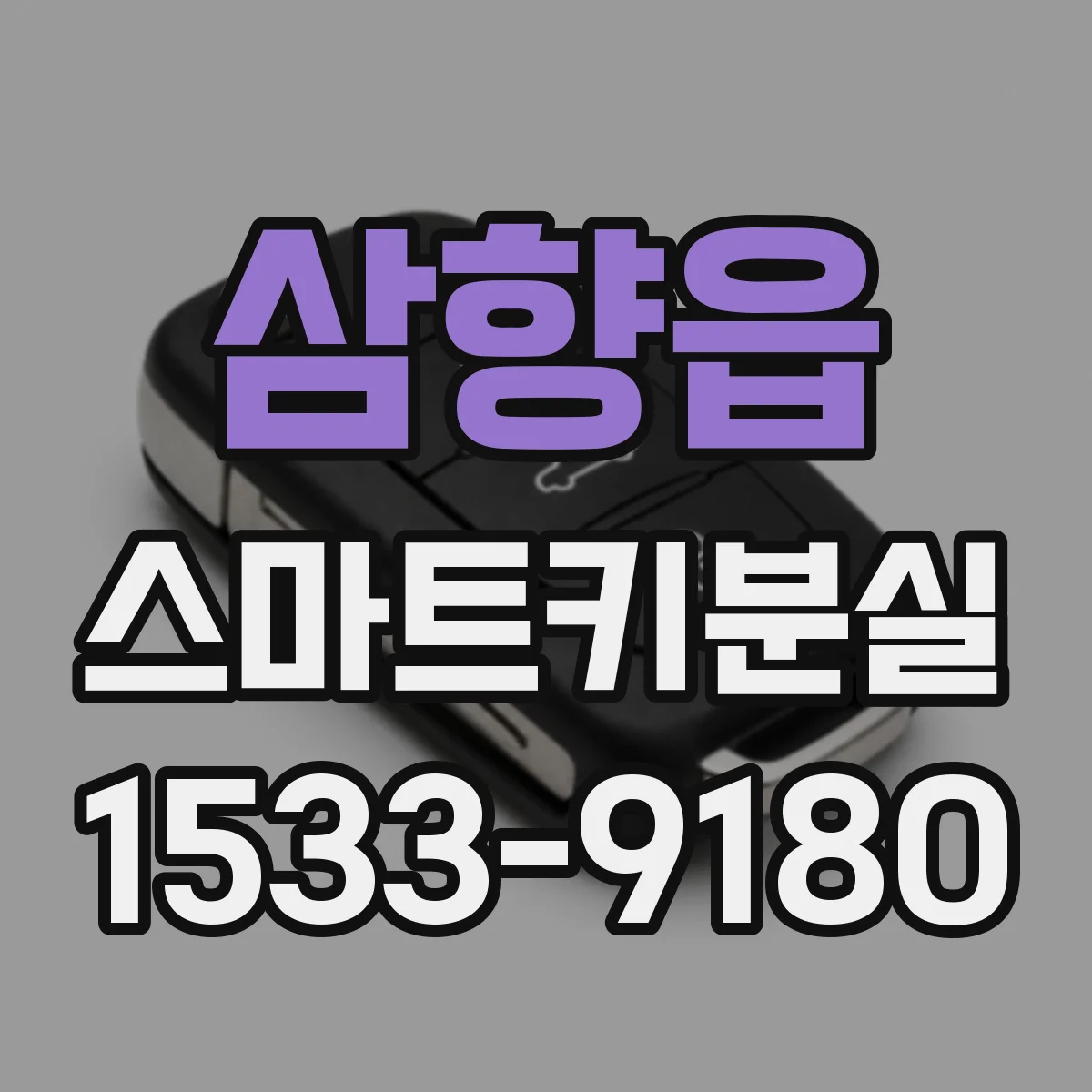 삼향읍 스마트키분실