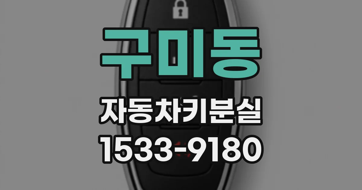 구미동 자동차키분실