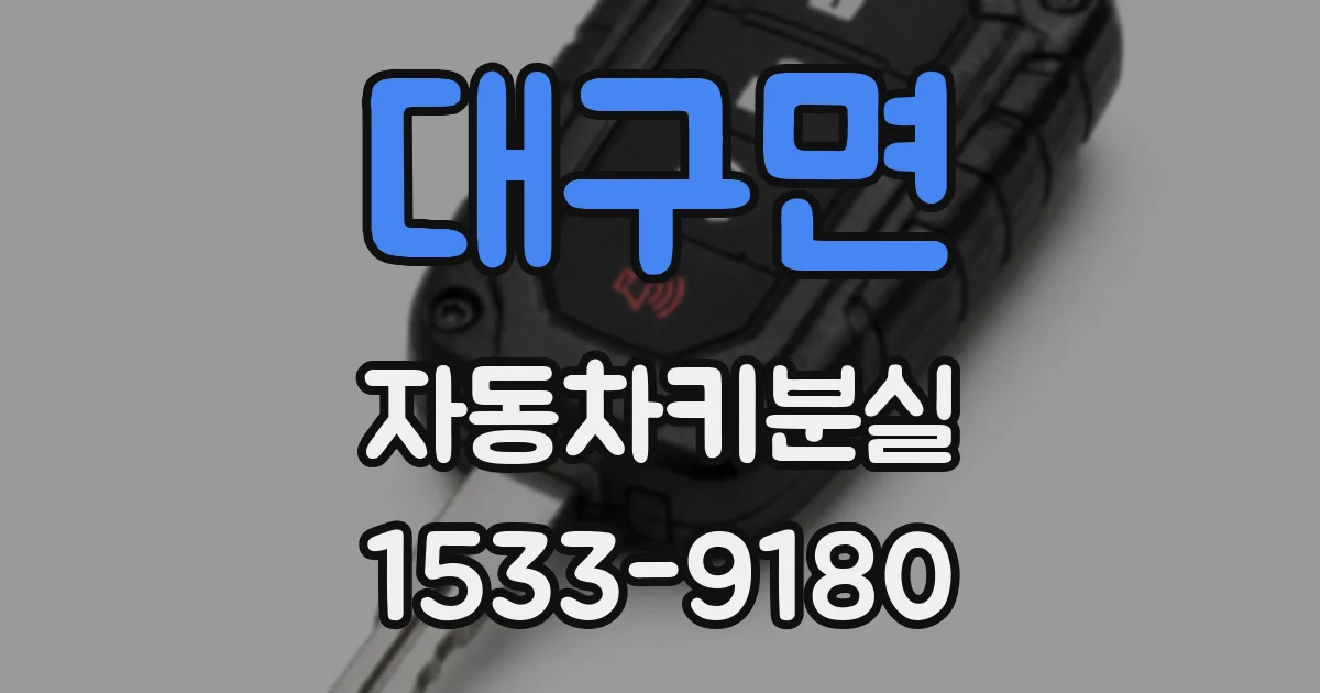 대구면 자동차키분실