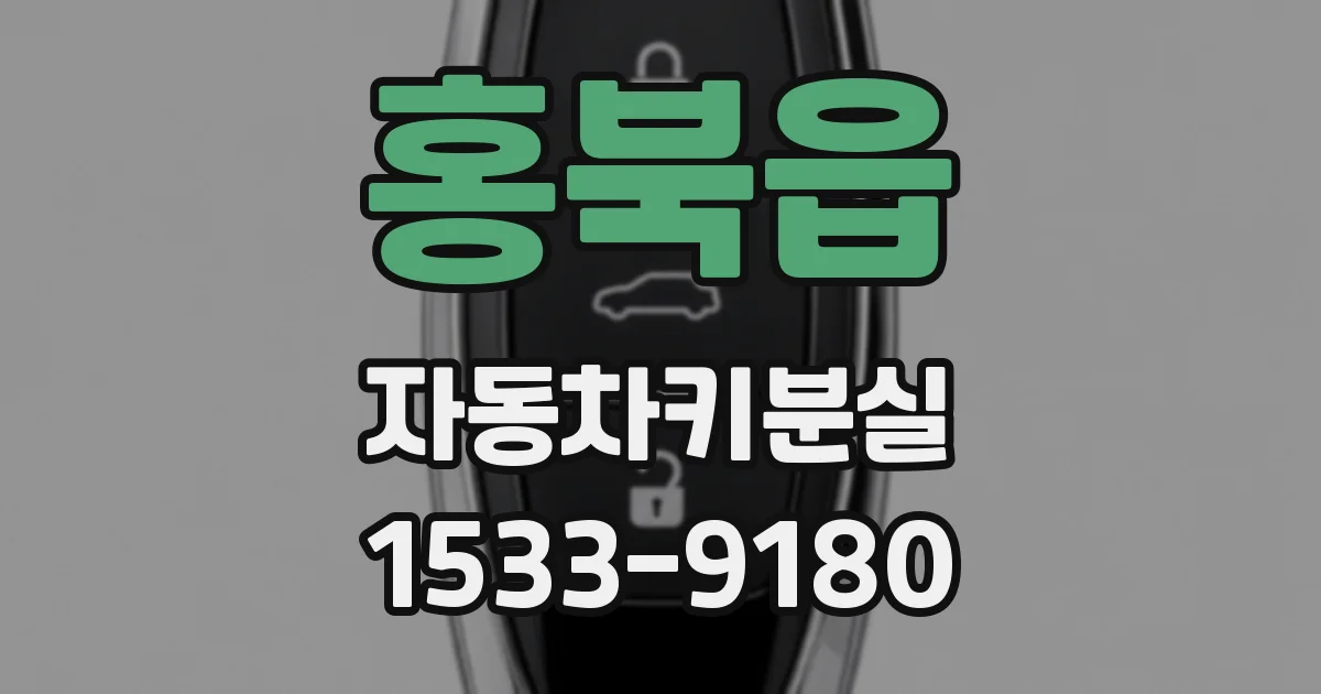 홍북읍 자동차키분실